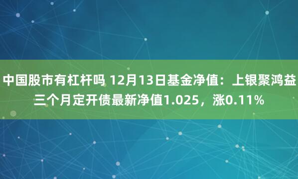 中国股市有杠杆吗 12月13日基金净值：上银聚鸿益三个月定开债最新净值1.025，涨0.11%