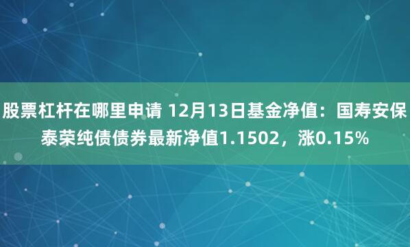 股票杠杆在哪里申请 12月13日基金净值：国寿安保泰荣纯债债券最新净值1.1502，涨0.15%