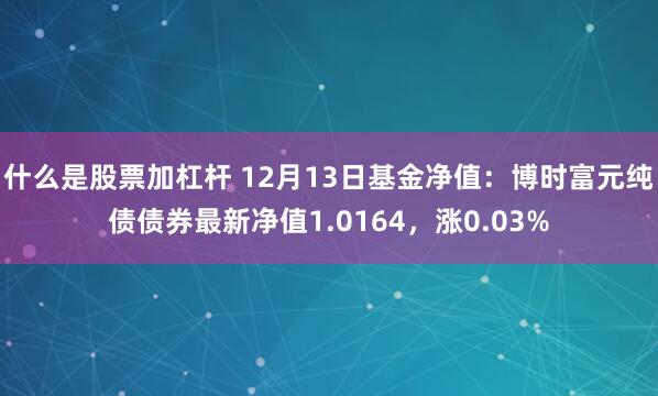 什么是股票加杠杆 12月13日基金净值：博时富元纯债债券最新净值1.0164，涨0.03%