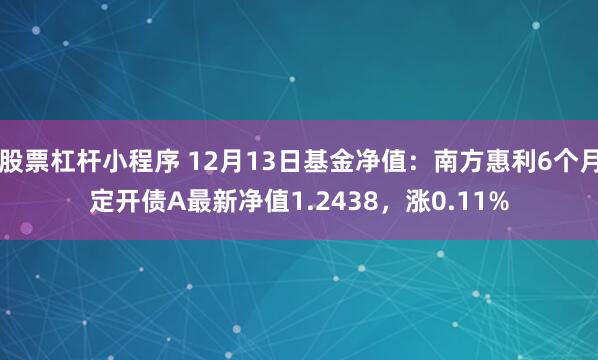 股票杠杆小程序 12月13日基金净值：南方惠利6个月定开债A最新净值1.2438，涨0.11%