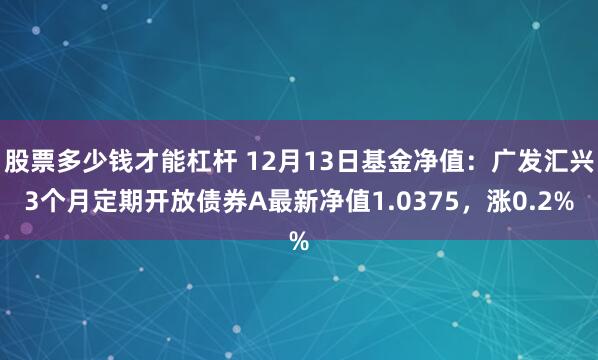 股票多少钱才能杠杆 12月13日基金净值：广发汇兴3个月定期开放债券A最新净值1.0375，涨0.2%