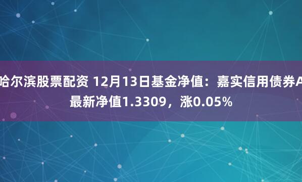 哈尔滨股票配资 12月13日基金净值：嘉实信用债券A最新净值1.3309，涨0.05%