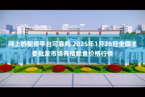 网上的配资平台可靠吗 2025年1月26日全国主要批发市场养殖鲶鱼价格行情