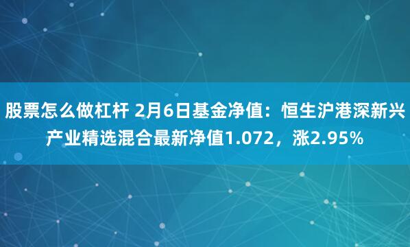 股票怎么做杠杆 2月6日基金净值：恒生沪港深新兴产业精选混合最新净值1.072，涨2.95%